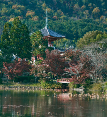 Daikakuji_templet_Kyoto