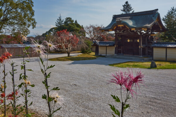 Daikakuji_templet_Kyoto