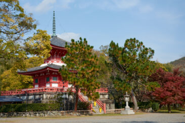 Daikakuji_templet_Kyoto