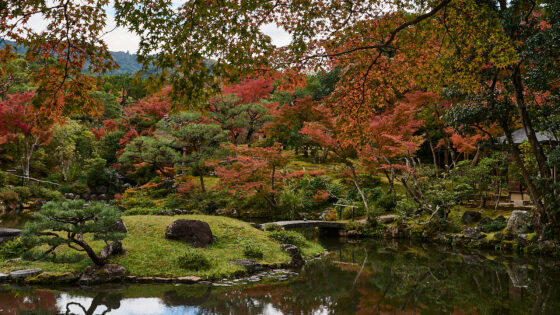 Isuien-haven, Nara