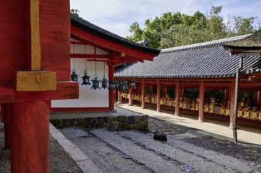 kasuga taisha helligdommen nara