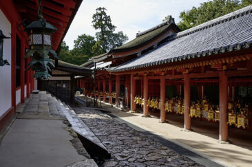 kasuga taisha helligdommen nara