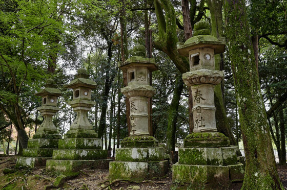 kasuga taisha helligdommen nara