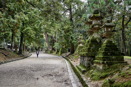 kasuga taisha helligdommen nara
