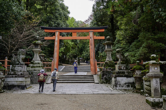 kasuga taisha helligdommen nara