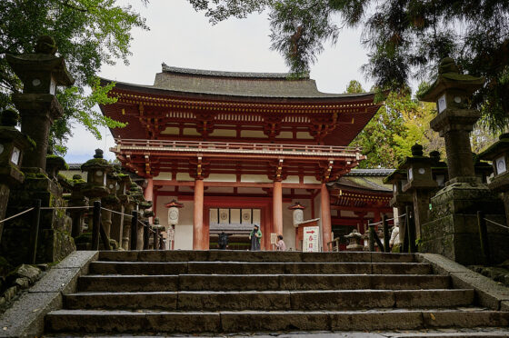 kasuga taisha helligdommen nara
