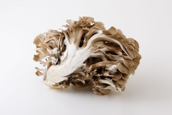 maitake