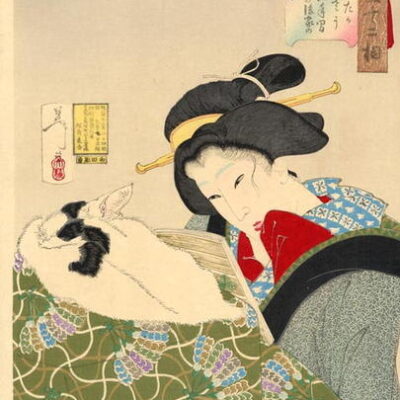 Tsukioka Yoshitoshi_træsnit