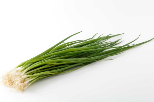 negi forårsløg