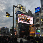 3d_kat_shinjuku_tokyo