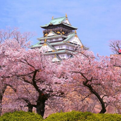 osaka_borg