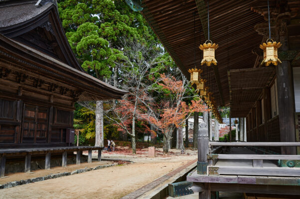 danjo-garan-koyasan