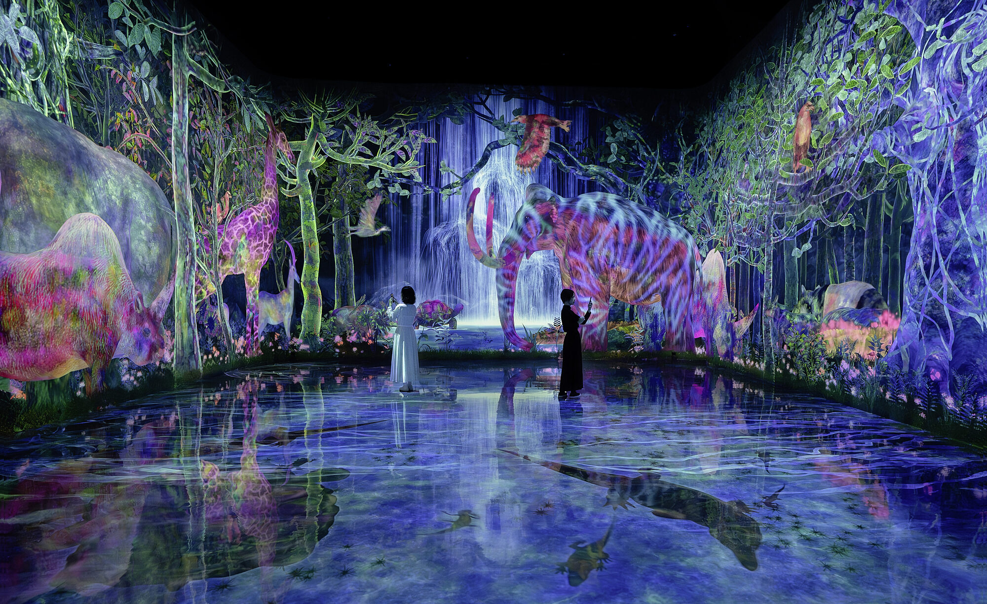 teamlab