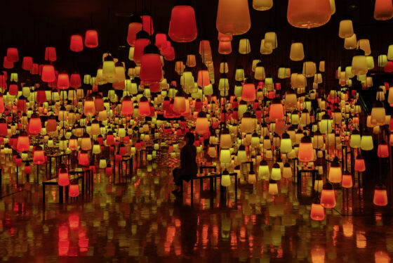 teamLab Ruins and Heritage Rinkan Spa Tea Ceremony - GC, Kyushu