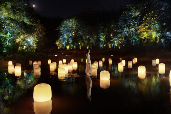 teamLab hidden traces of rice
