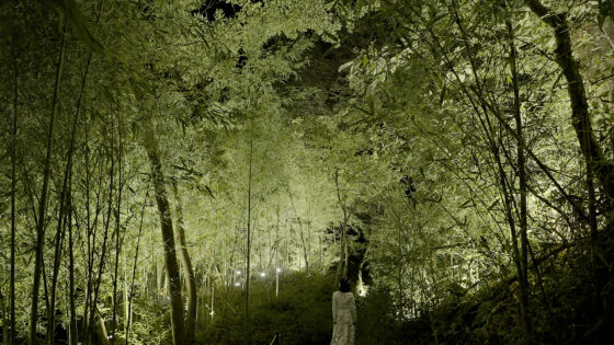 teamLab hidden traces of rice