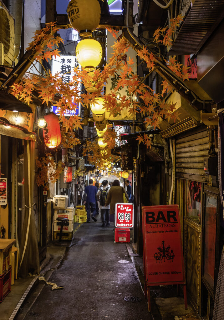 omoide yokocho izakaya tokyo