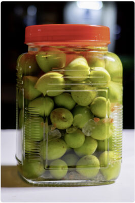 umeshu japansk blommevin