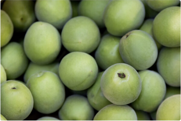 umeshu japansk blommevin