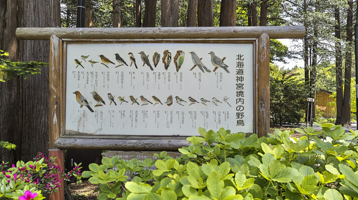 hokkaido helligdommen sapporo (2)
