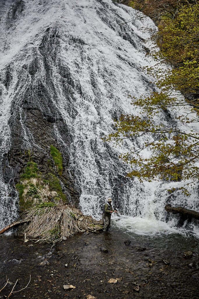 Senjōgahara-højmosen i Nikko Nationalpark