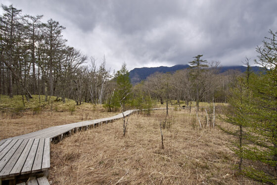 Senjōgahara-højmosen i Nikko Nationalpark