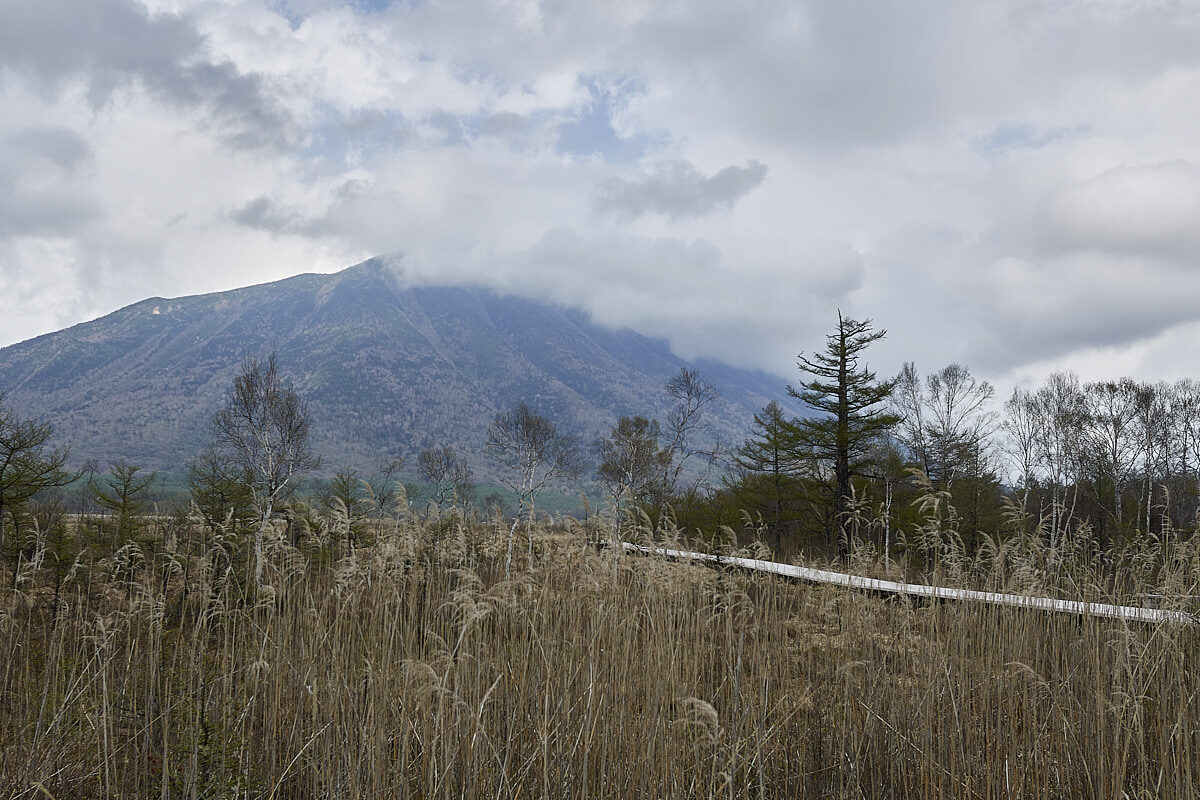 Senjōgahara-højmosen i Nikko Nationalpark