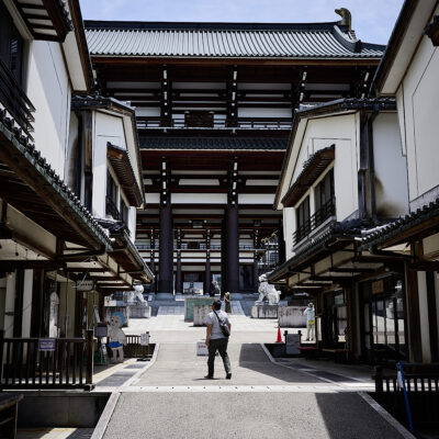 Daishizan Seidaiji-templet og Echizen Daibutsu - den store buddha i Fukui