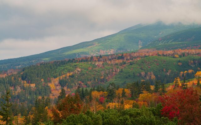 efterårsfarver daisetsuzan nationalparken