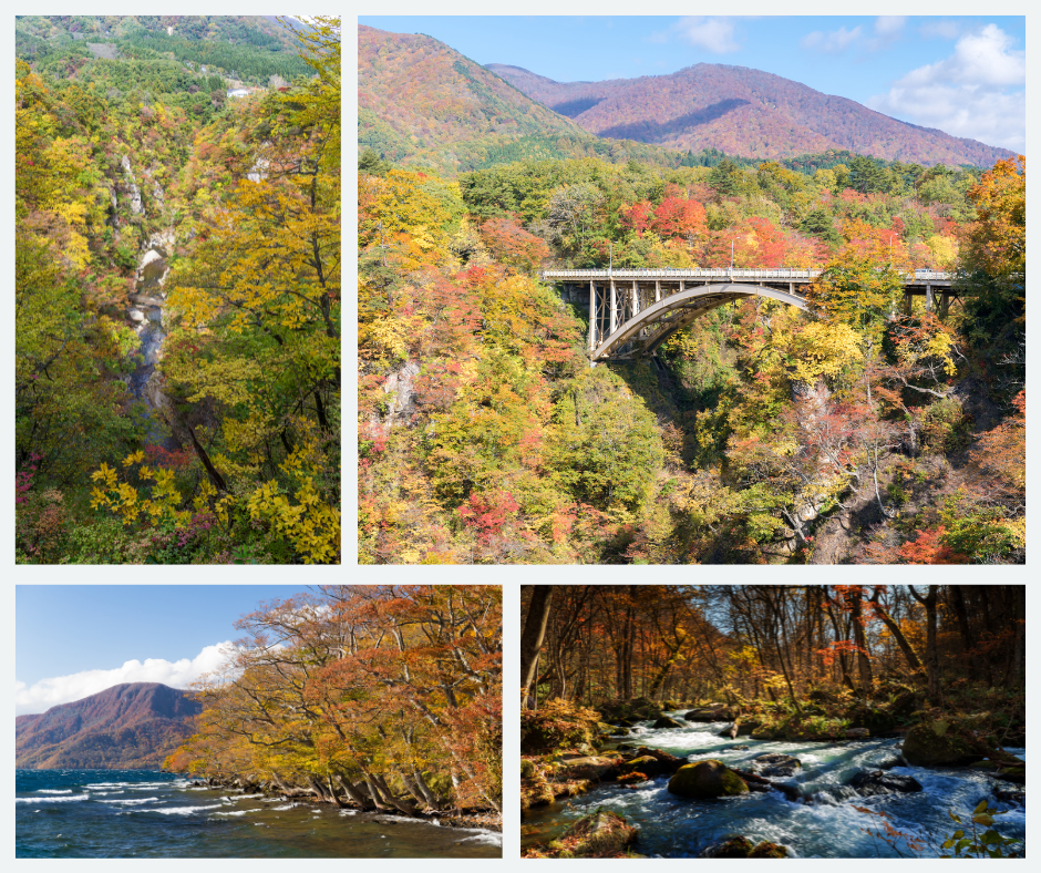 Efterårsfarver i Tohoku. Øverst Naruko-kløften, nederst tv. Towada-søen og th. Oirase-strømmen