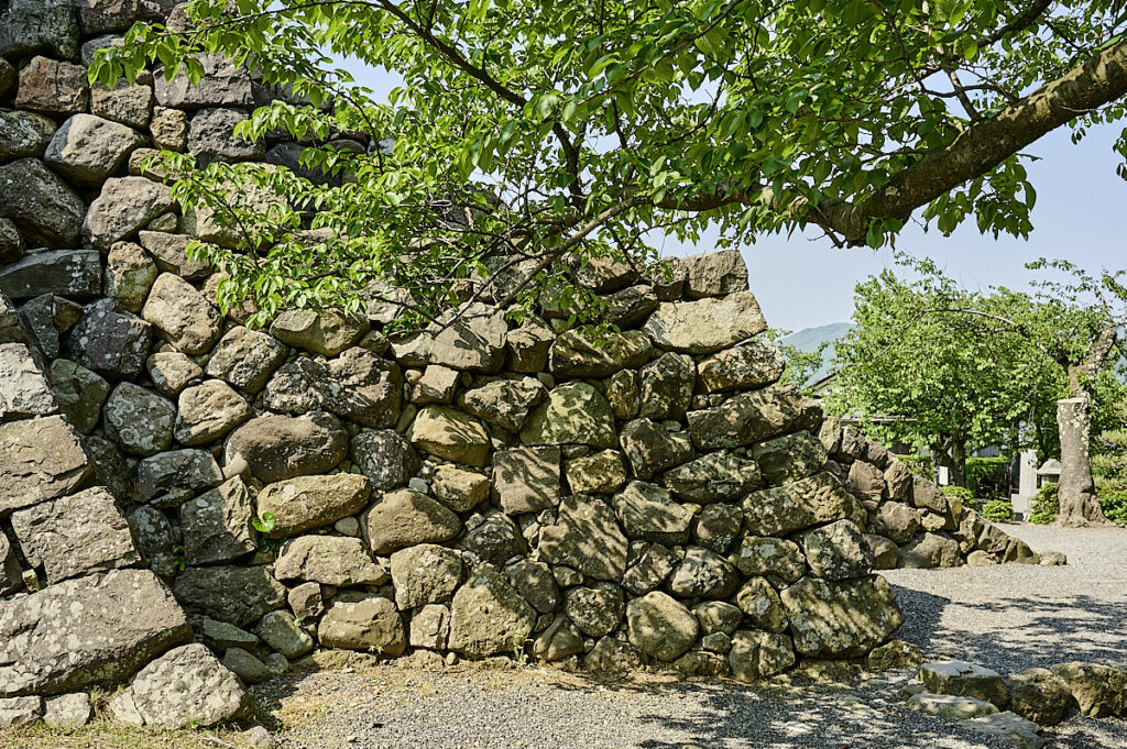 maruoka borg fukui 