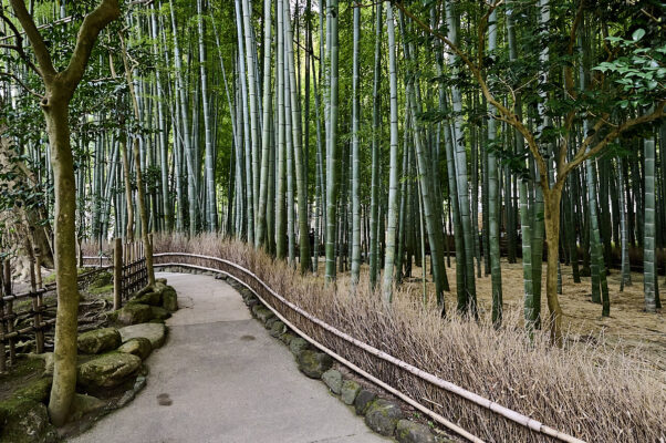 Hōkokuji-templet - bambustemplet i Kamakura