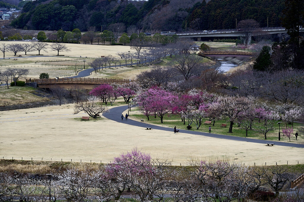 Kairakuen-haven i Mito