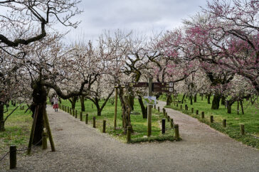 Kairakuen-haven i Mito