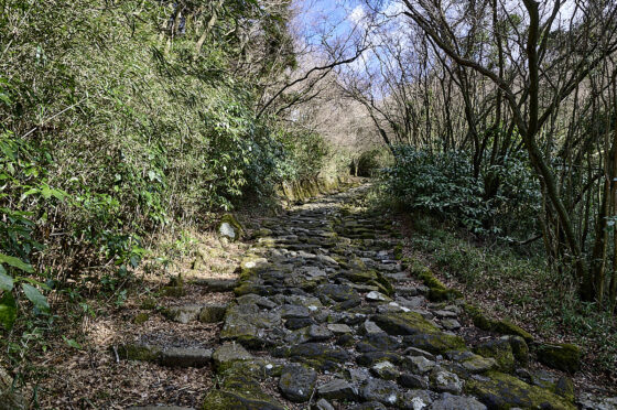 gamle Tokaido-vej Hakone