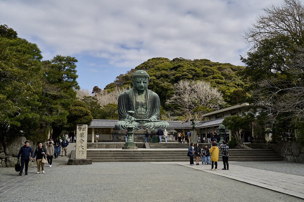 kamakura store buddha daibutsu
