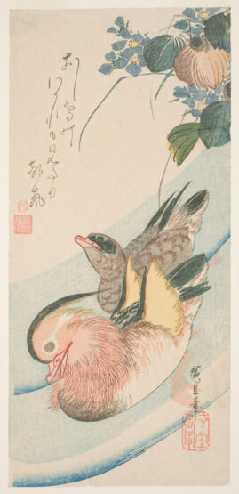 Hiroshige-træsnit med et par mandarinænder på vandet.