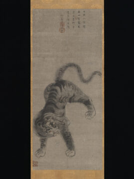 tora tiger billedrulle